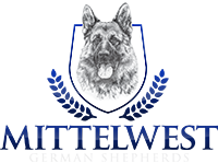 Mittelwest German Shepherds Logo