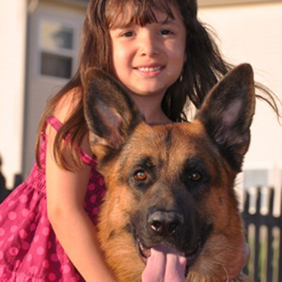 Akc Dog Show Results Akc Dog Show Results