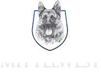 Mittelwest German Shepherds – The Finest German Shepherds In The World!