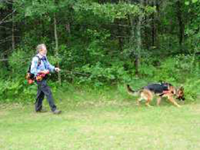 Mittelwest German Shepherds At Search-Rescue & Cadaver Recovery 3