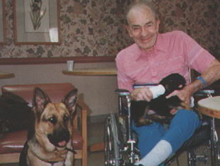 The Amazing Therapy Dogs Of Mittelwest German Shepherds 2