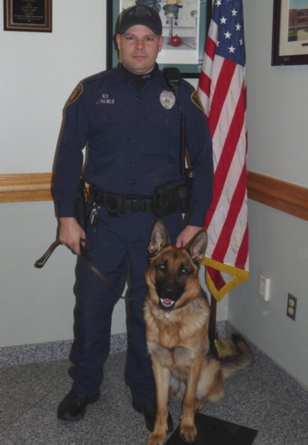 The Multi Purpose K-9 Dogs Of Mittelwest German Shepherds 3