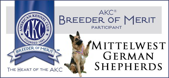 AKC Breeder Of Merit Mittelwest German Shepherds