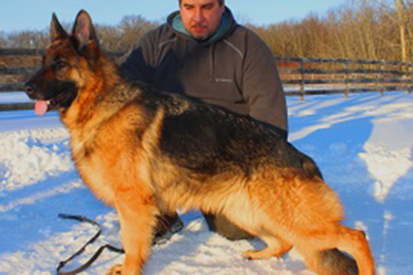 Breeding Female - V Quana vom Mittelwest 2