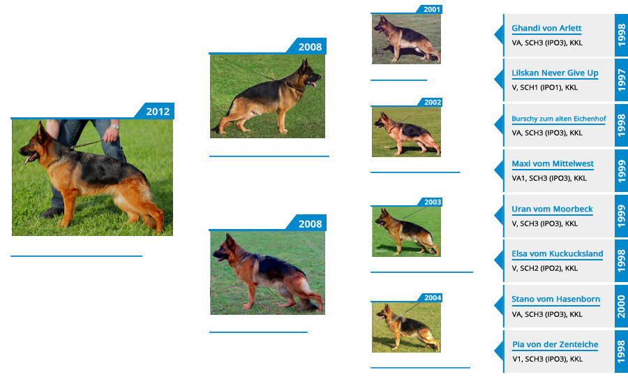Breeding Females - V Danci vom Mittelwest - Pedigree