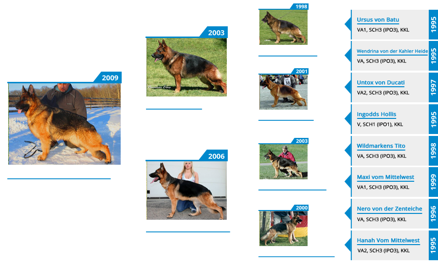 Breeding Females - V Quana vom Mittelwest - Pedigree