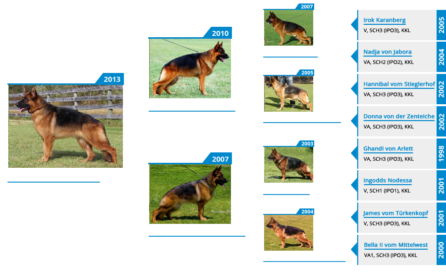 Breeding Females - V Sochi vom Mittelwest - Pedigree