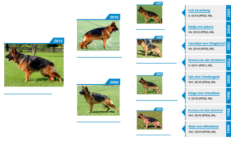 Breeding Females - V1 Yoshi vom Mittelwest - Pedigree