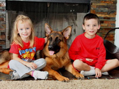 Client Testimonials Of Mittelwest German Shepherds Cindy Fink 1