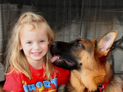 Client Testimonials Of Mittelwest German Shepherds Cindy Fink 2