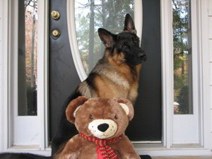 Client Testimonials Of Mittelwest German Shepherds Gary & Kalen