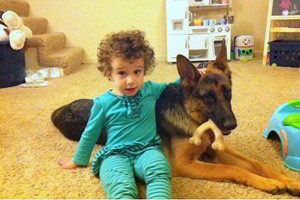 Client Testimonials Of Mittelwest German Shepherds Haddie & Riley