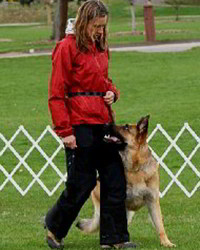 Client Testimonials Of Mittelwest German Shepherds Jill Haunold