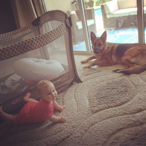Client Testimonials Of Mittelwest German Shepherds Matt & Natalie