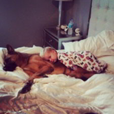 Client Testimonials Of Mittelwest German Shepherds Natalie Zizzo