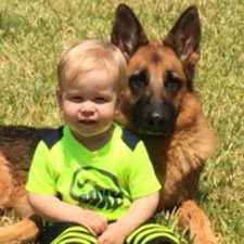 Client Testimonials Of Mittelwest German Shepherds Natalie Zizzo