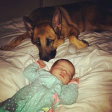 Client Testimonials Of Mittelwest German Shepherds Natalie Zizzo