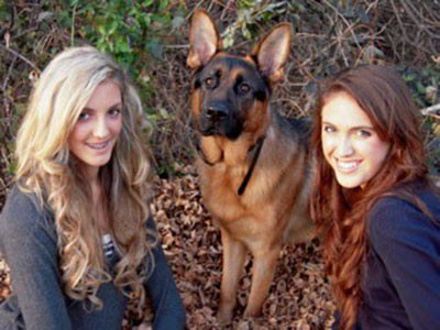 Client Testimonials Of Mittelwest German Shepherds Maximus Client Testimonials Of Mittelwest German Shepherds Maximus