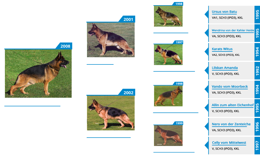 Stud Dog VA1 Rocco vom Mittelwest - Pedigree