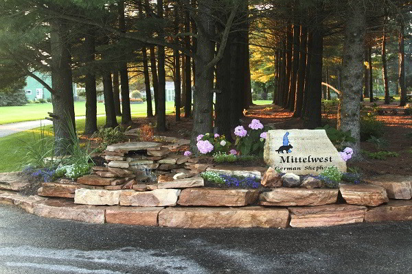 Services Of Mittelwest German Shepherds In Wonder Lake Illinois