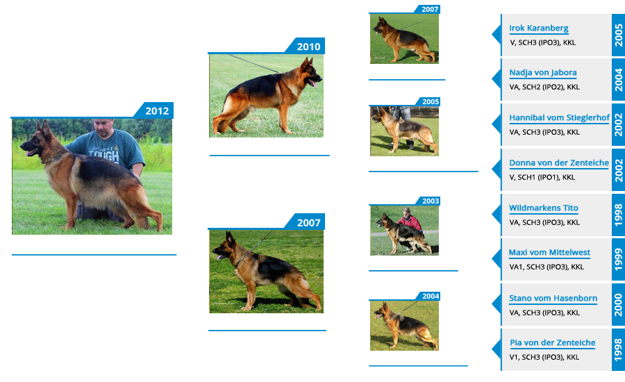 Breeding Females - V1 Mardi Gras vom Mittelwest - Pedigree
