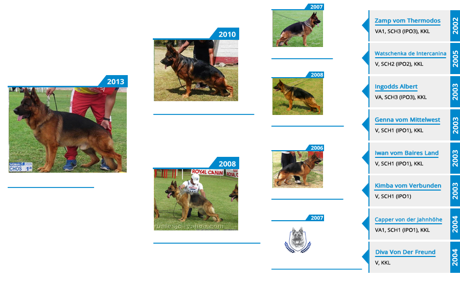 Stud Dog VA Figo di Casa Caputi - Pedigree