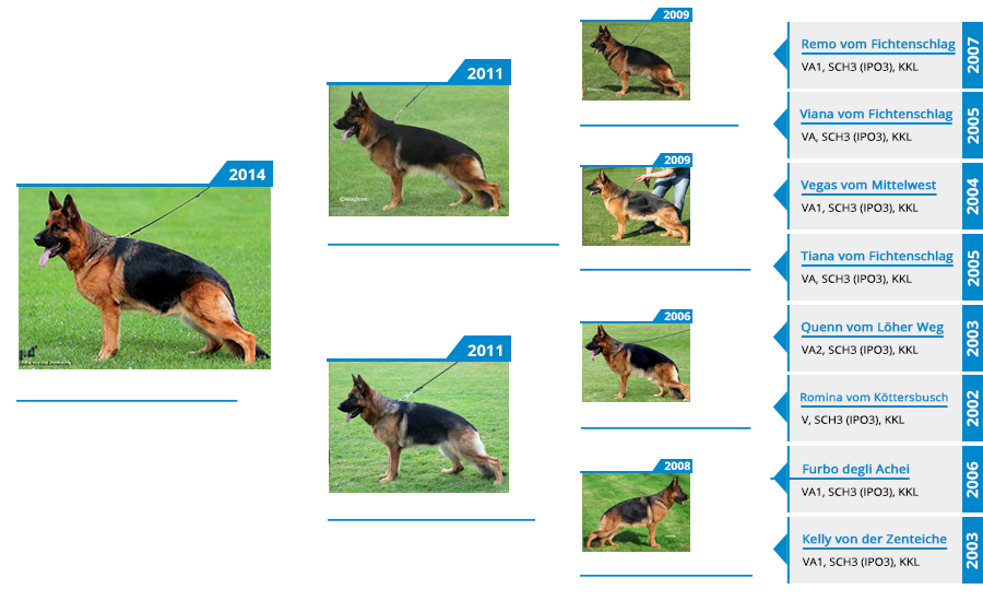 Dam - V Alba von der Zenteiche - Pedigree