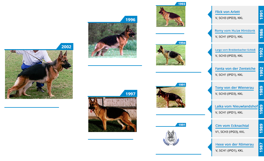 Pedigree For - VA Fonzi vom Mittelwest - Pedigree