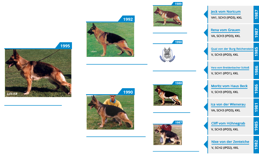 Pedigree For - VA2 Hanah vom Mittelwest - Pedigree