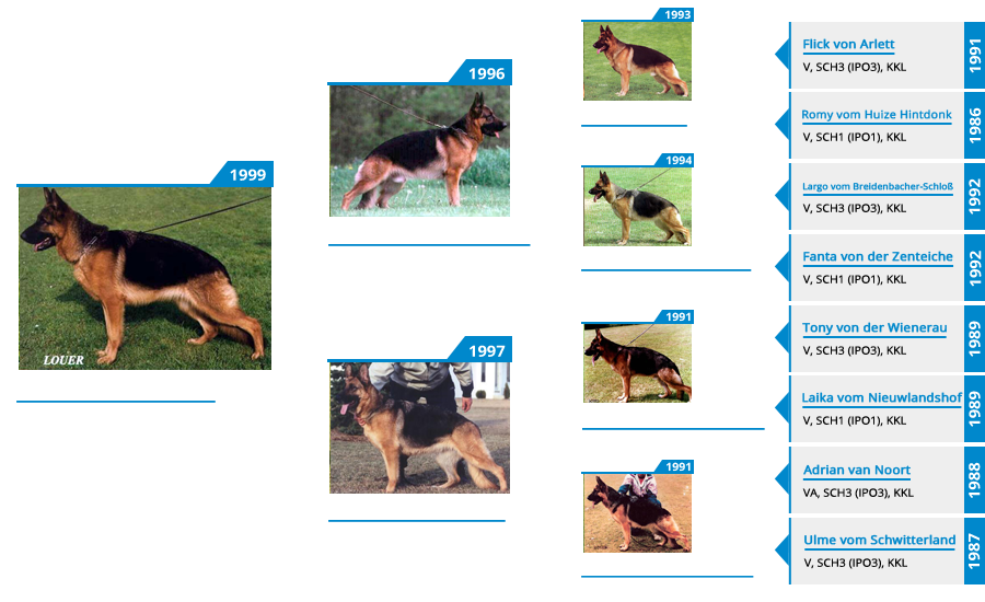 Pedigree For - VA1 Maxi vom Mittelwest - Pedigree