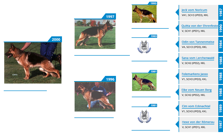 Pedigree For - VA Olly vom Mittelwest - Pedigree