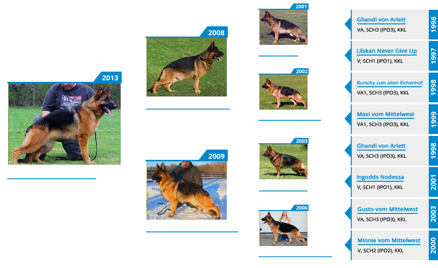 Breeding Females - V Utah vom Mittelwest - Pedigree