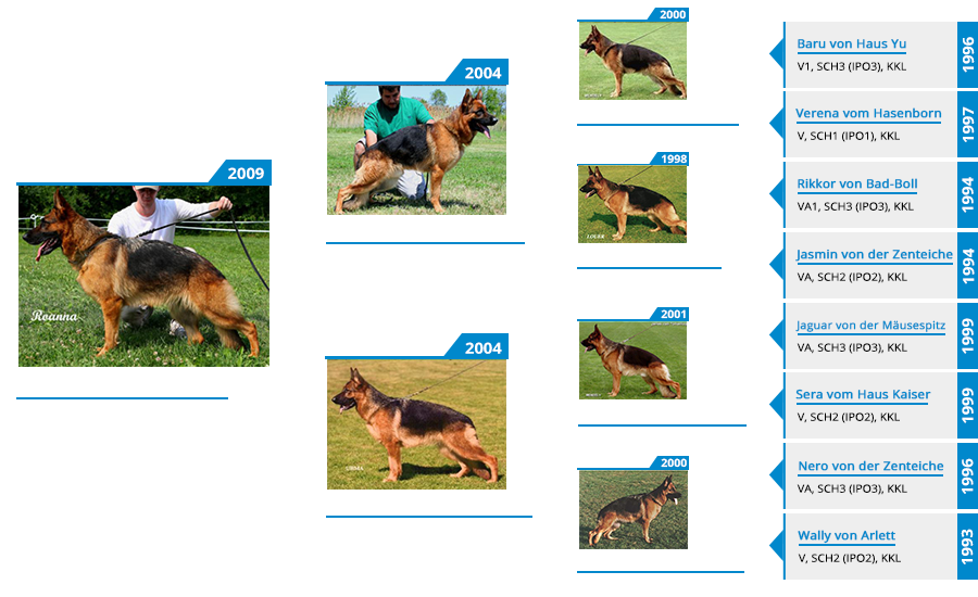 Pedigree For - VA Windy vom Mittelwest - Pedigree