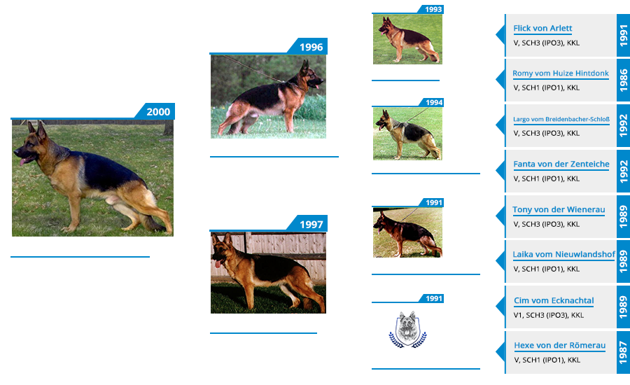 Stud Dog - VA Fabian vom Mittelwest - Pedigree