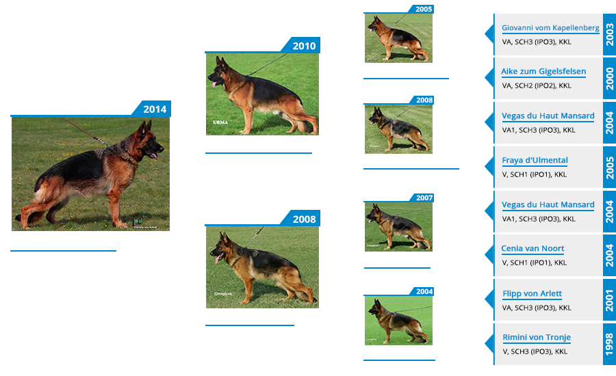 Breeding Females - Estrella von Arlett - Pedigree