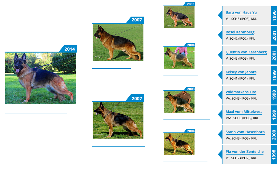 Breeding Females - Twitter vom Mittelwest - Pedigree