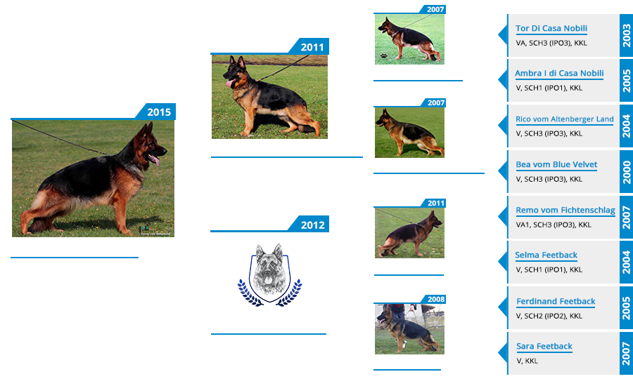 Breeding Females - Zany vom Mittelwest - Pedigree