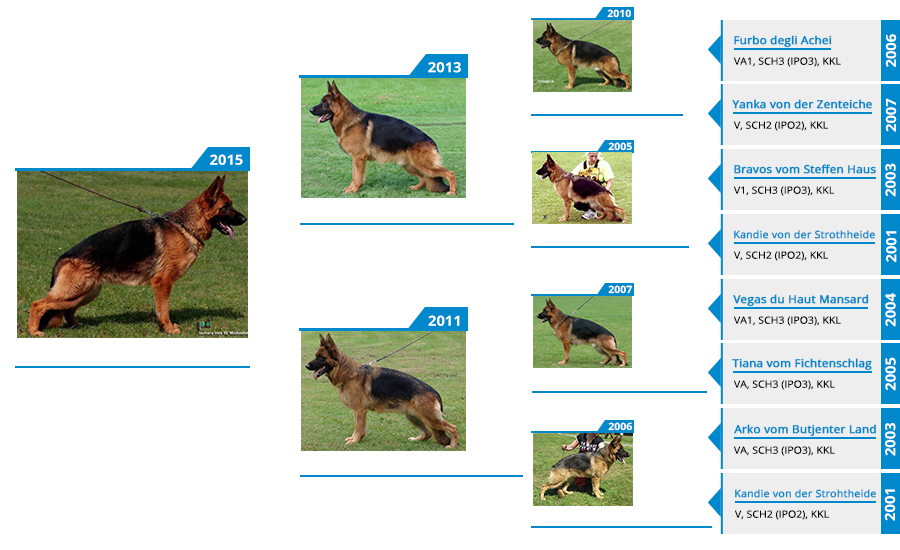 Breeding Females - Ischara vom St.-Michaels-Berg - Pedigree