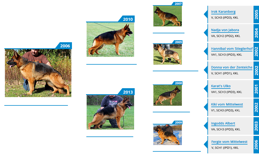 Breeding Females - Colorado vom Mittelwest Pedigree