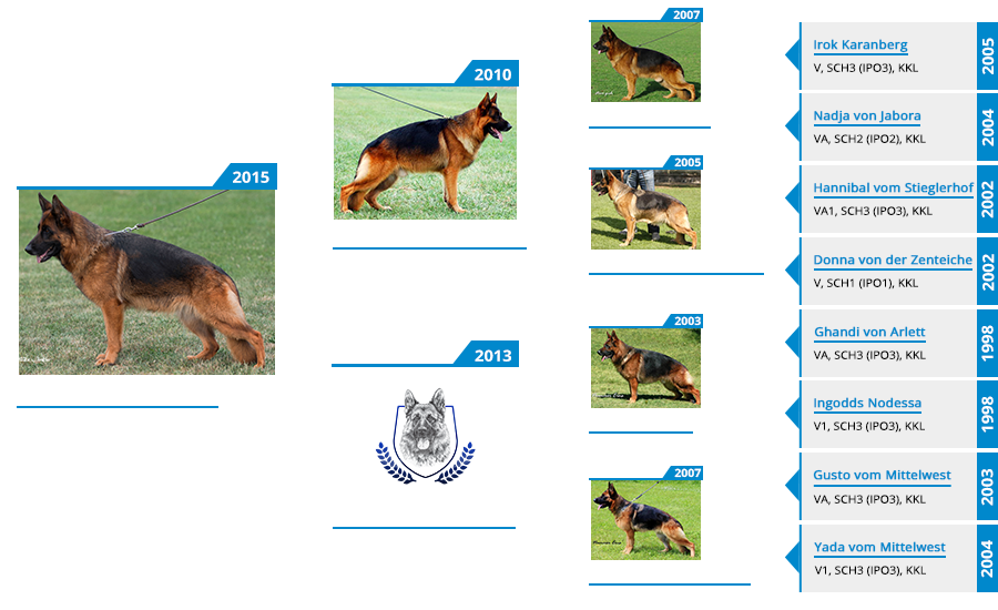 Breeding Females - Ohio vom Mittelwest Pedigree