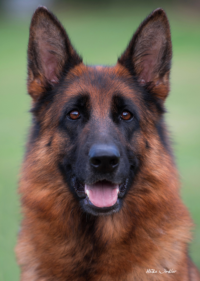 v-ohio-vom-mittelwest-sch1-kkl-stand