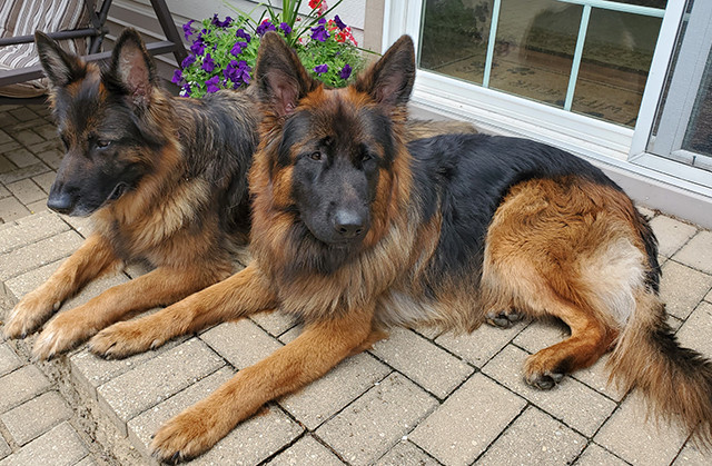 Mittelwest Client Testimonial - Hans