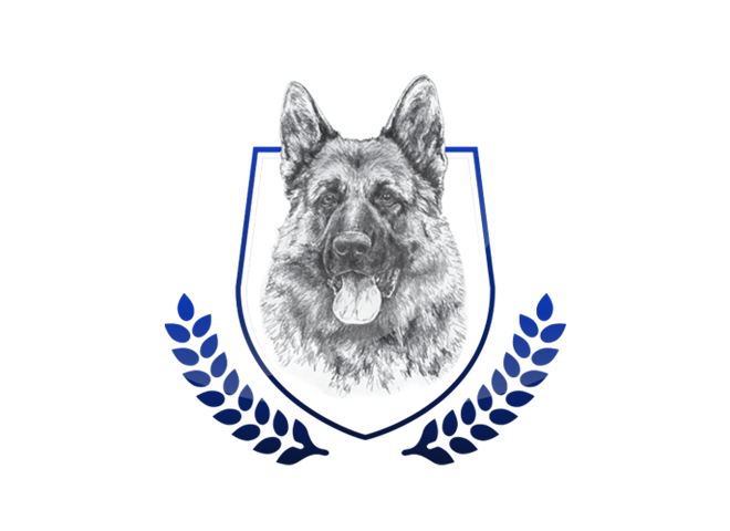V Hanny vom Mittelwest Sch2 (IPO2), KKL