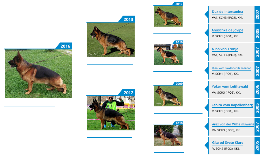 Mittelwest Champion Stud Fanto von Farhantal Pedigree