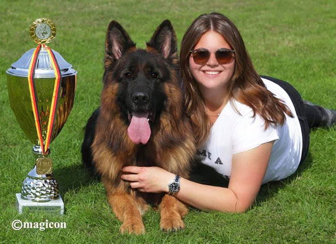 Mittelwest Champion Stud - VA Bruce von Cohinor Sch3