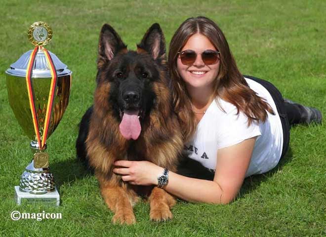 Mittelwest Champion Stud - VA Bruce von Cohinor Sch3 KKL