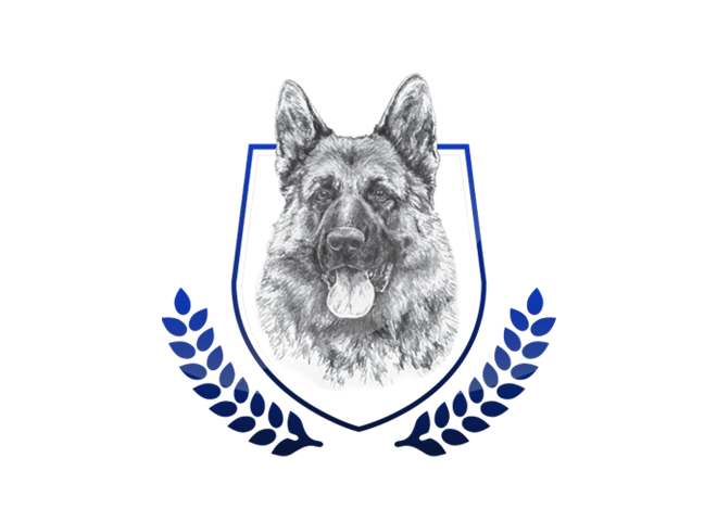 Dazzle vom Mittelwest Placeholder