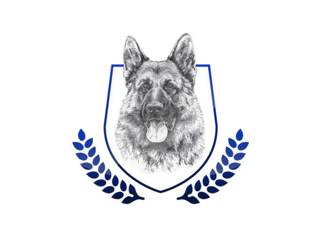 Halle vom Team Placeholder