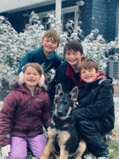 Mittelwest Client Testimonial - Blue & Family Mittelwest Client Testimonial - Blue & Family