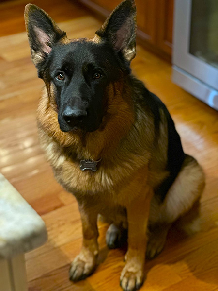 Mittelwest Client Testimonial From Carla Aiello & Family Mittelwest Client Testimonial From Carla Aiello & Family